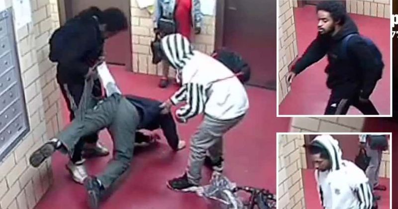
                            
                            
                            
                            Video muestra a ladrones pateando a un hombre del Bronx con ladrillos y arrancándole los pantalones para robarlo