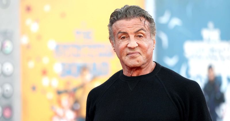 
                            
                            
                            
                            ¿Cuál es el patrimonio neto de Sylvester Stallone?  El icono de 