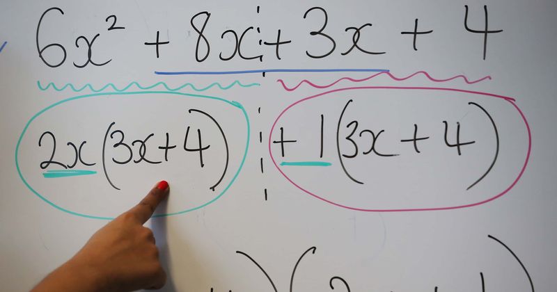 
                            
                            
                            
                            Los profesores de California critican el nuevo programa WOKE que elimina las matemáticas avanzadas: 