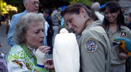 'Hero' Betty White privately paid to rescue animals after Hurricane Katrina
