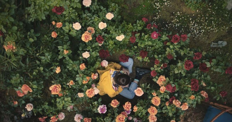 
                            
                            'El cielo está en todas partes': 5 cosas que no sabías sobre Grace Kaufman