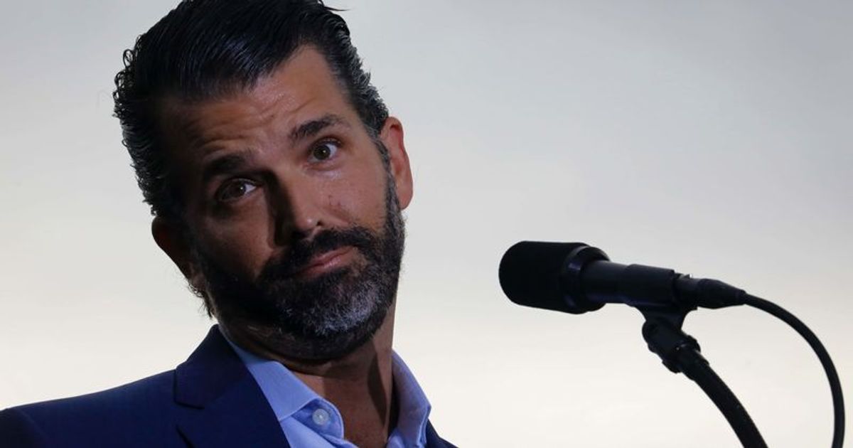 Trump Jr slammed for saying Putin didn't attack Ukraine when dad was POTUS as he had 'balls' - Vimarsana News
