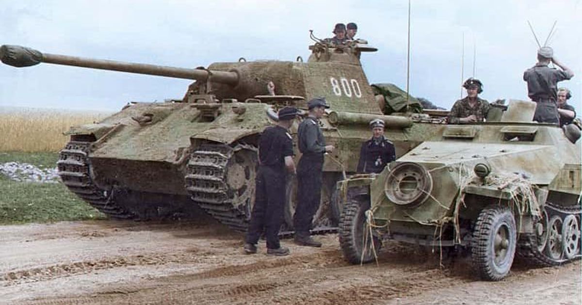 Putin's Wikings? Prez's call for volunteers evokes horrors of Hitler's 5th SS Panzer Division - Vimarsana News