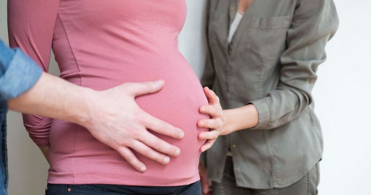 What is Project Dynamo? Non-profit rescues surrogate mothers, babies from Ukraine war - Vimarsana News
