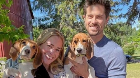 'A Tail of Love' Review: A sweet love story with a heavy dose of adorable puppies 